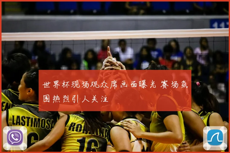 世界杯现场观众席画面曝光 赛场氛围热烈引人关注