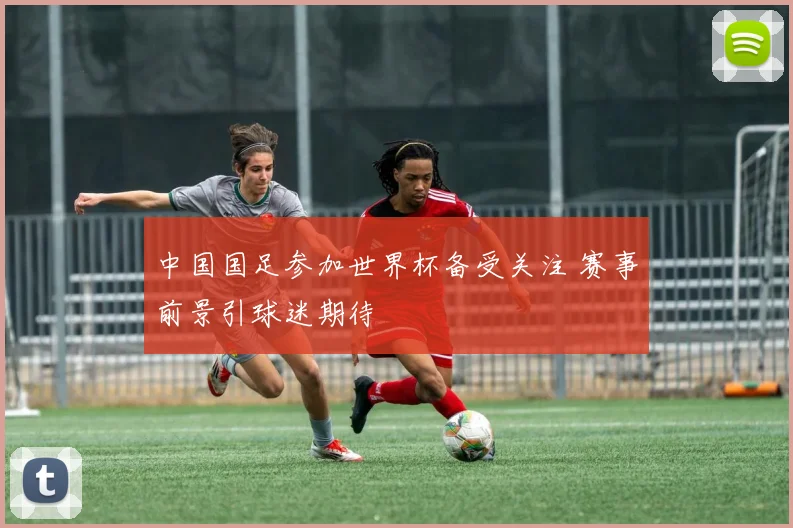 中国国足参加世界杯备受关注 赛事前景引球迷期待
