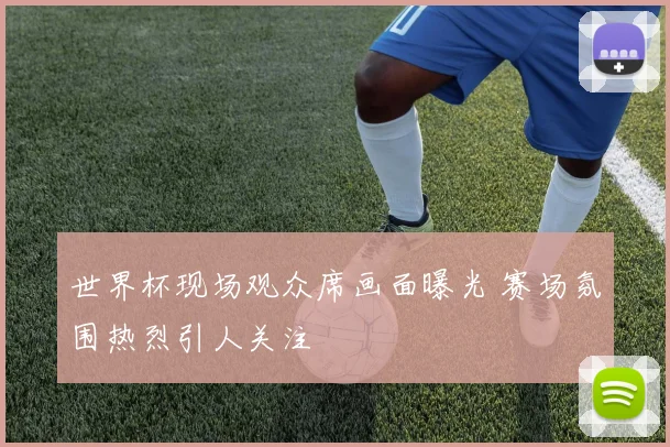 世界杯现场观众席画面曝光 赛场氛围热烈引人关注